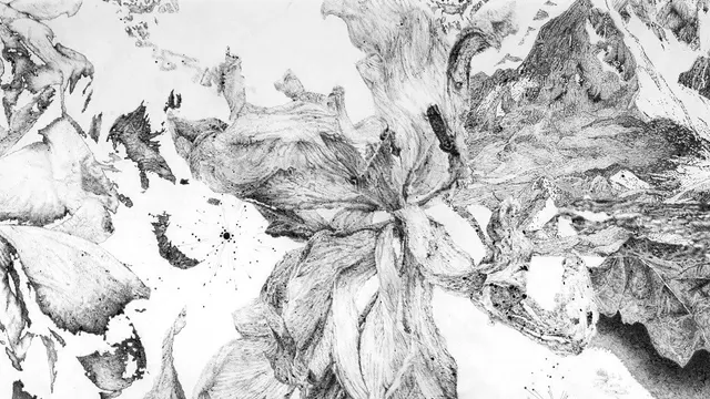 “Sutures” - Encres et fusains de Sandra Ghosn