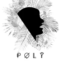 Polyssons T