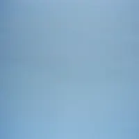 Vulfpeck