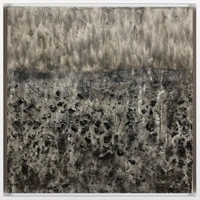 À l'horizon, une obscure clarté