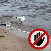 никса