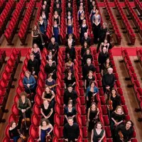 The King's Consort