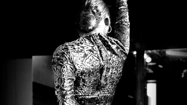 Vuelo Flamenco