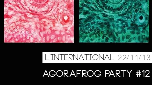 AgoraFrog Party#12 avec Armistice x Judy x Tender Tones