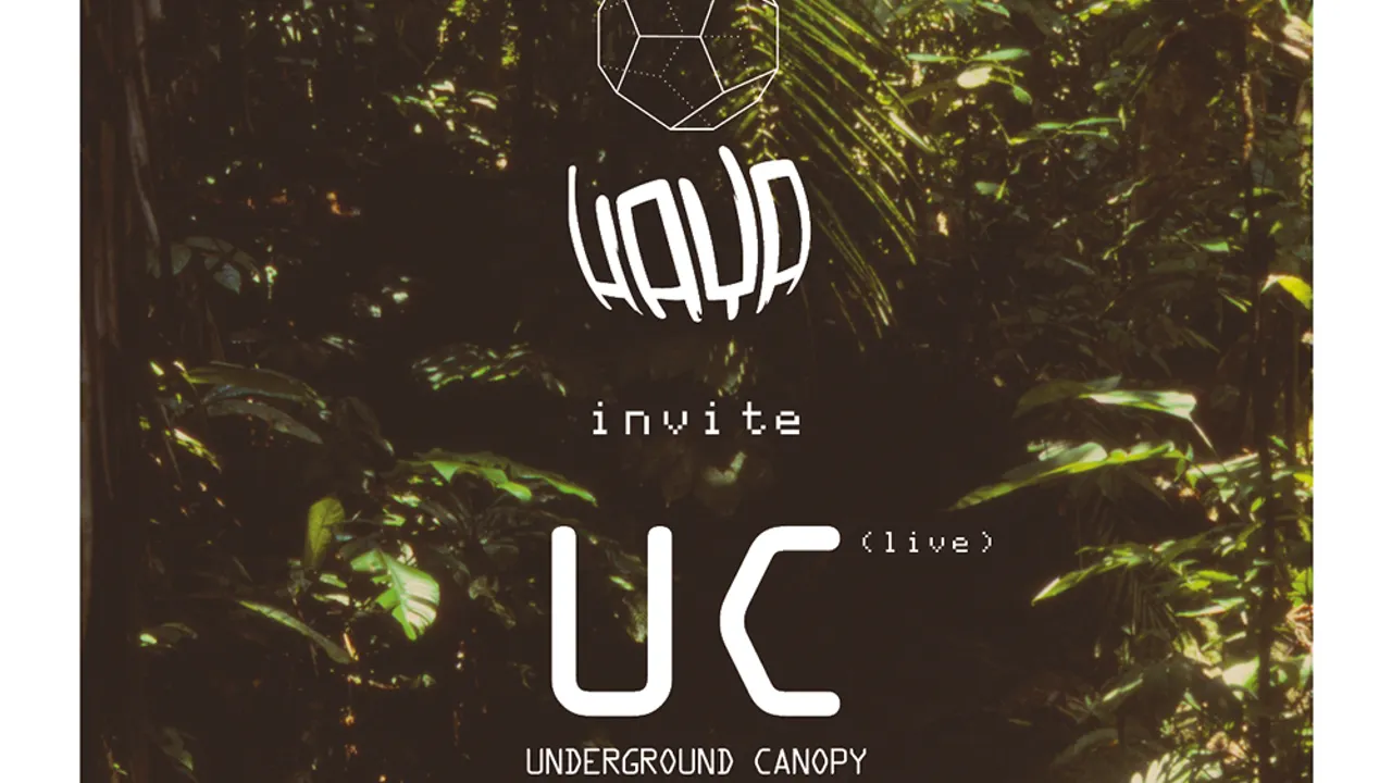 HAYA + UNDERGROUND CANOPY