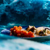 Under the sea