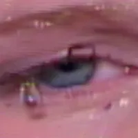 Lilyisthatyou