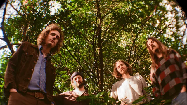 Triptides