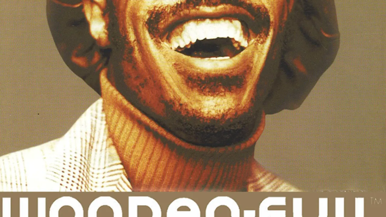 Wonder-Full : a Tribute to Stevie Wonder by DJ Spinna