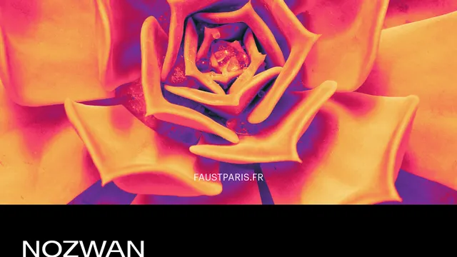 RESET presents Nozwan all night long // Faust