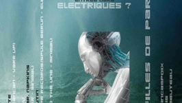 Pourquoi des Moutons Electrique