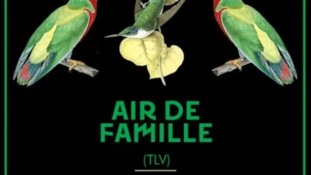 AIR de Famille
