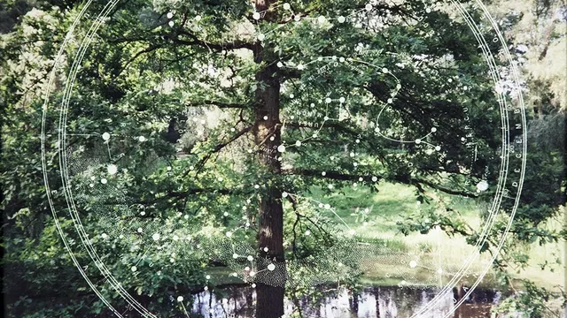 Dianne Bos - The Sleeping Green. Un no man’s land cent ans après
