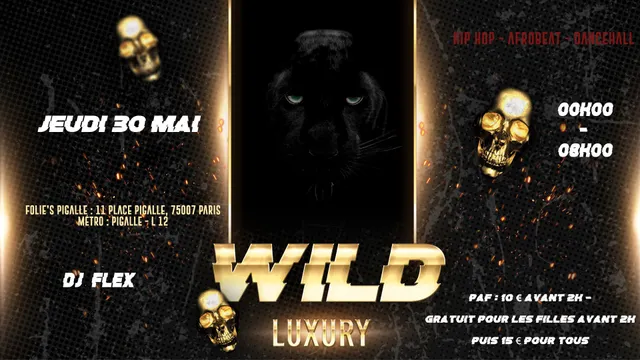 LuXURY PARTY