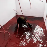 Re:
