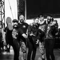 Zebrahead