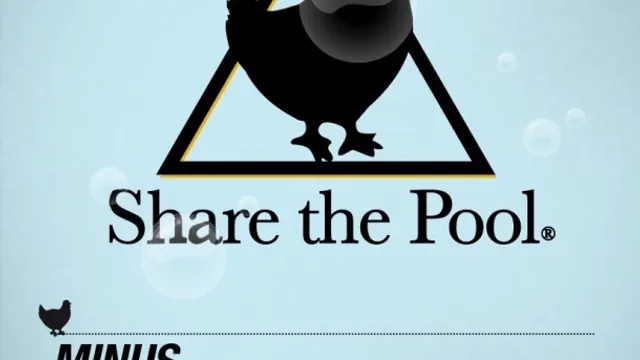 share the pool, la dernière de la saison
