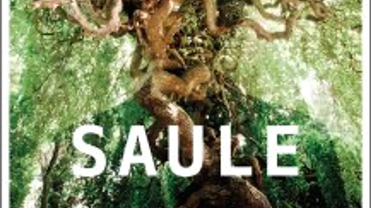 Saule + 1ère partie