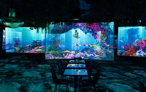 Under the sea Restaurant Issy-les-Moulineaux