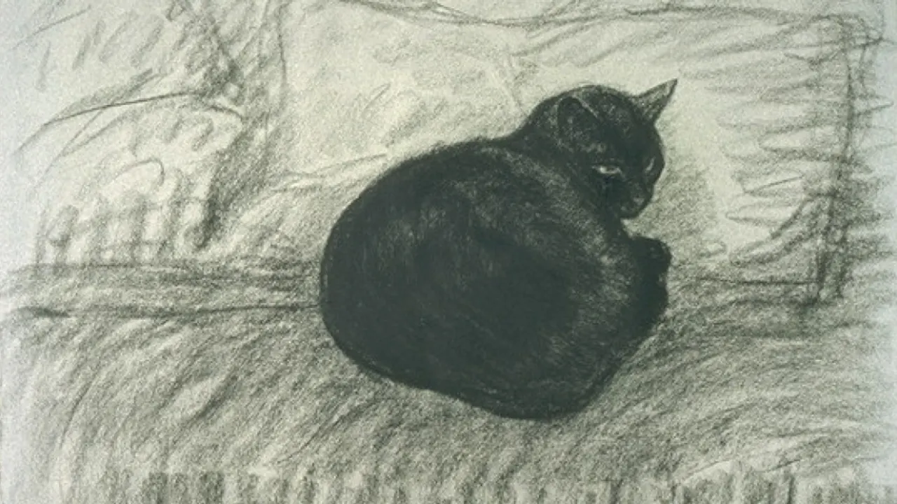 Accro-chat-ge