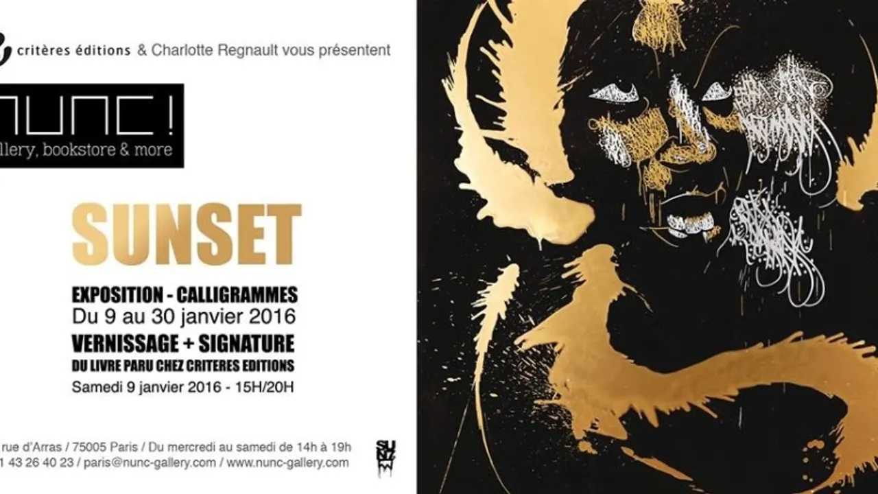 SOLO SHOW // SUNSET - 9 au 30 janvier 2016