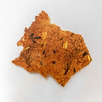 Datil