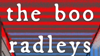 The Boo Radleys