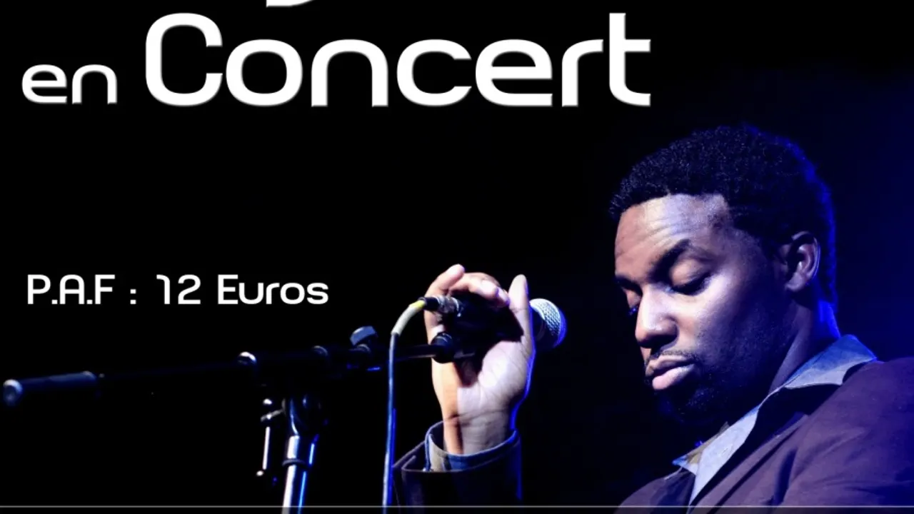 Sly Johnson aka Sly the mic Buddah en concert
