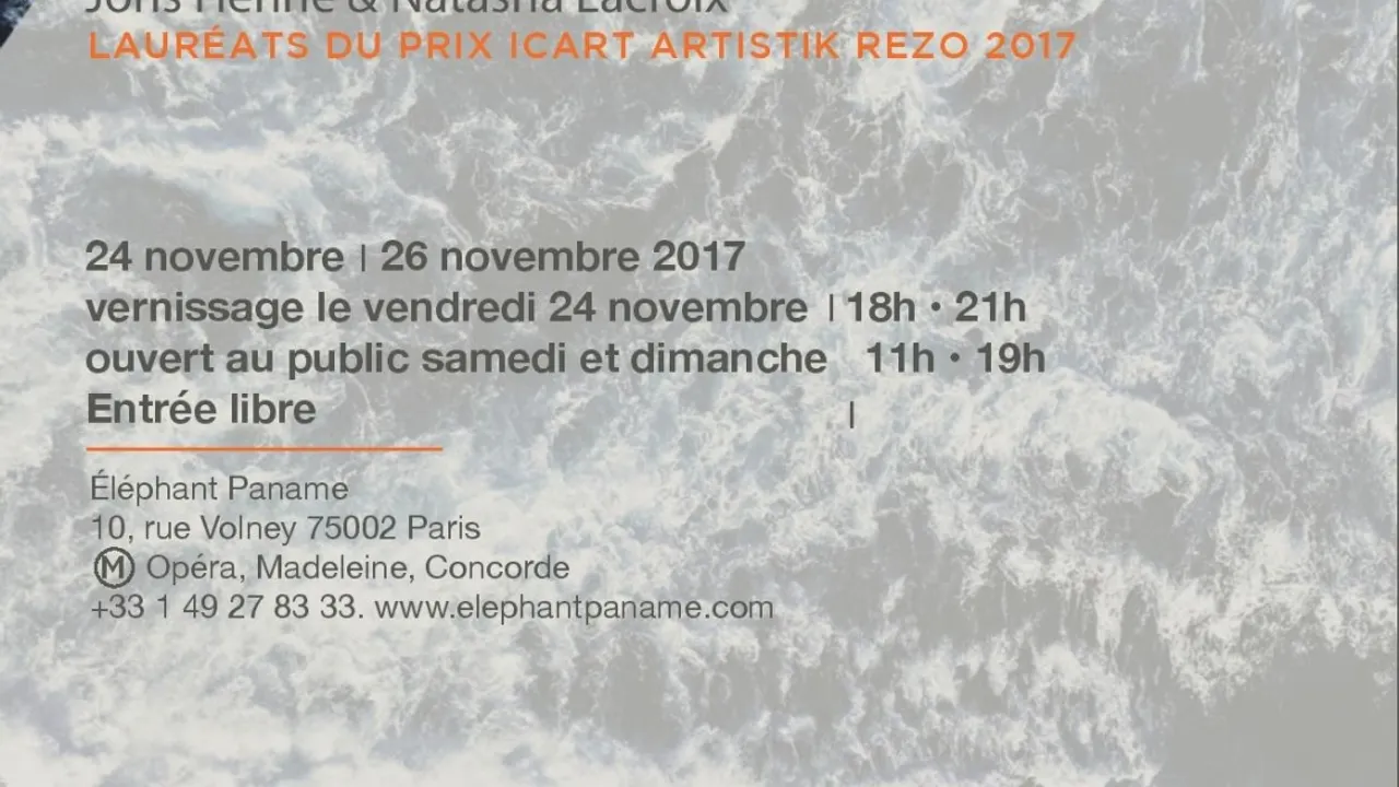 Exposition de Joris Henne & Natasha Lacroix - Lauréats du Prix Icart Artistik Rezo 2017