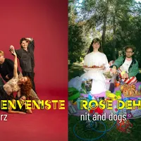 Béryl Benveniste / Moustik Haterz & Rose Dehors / nit and dogs