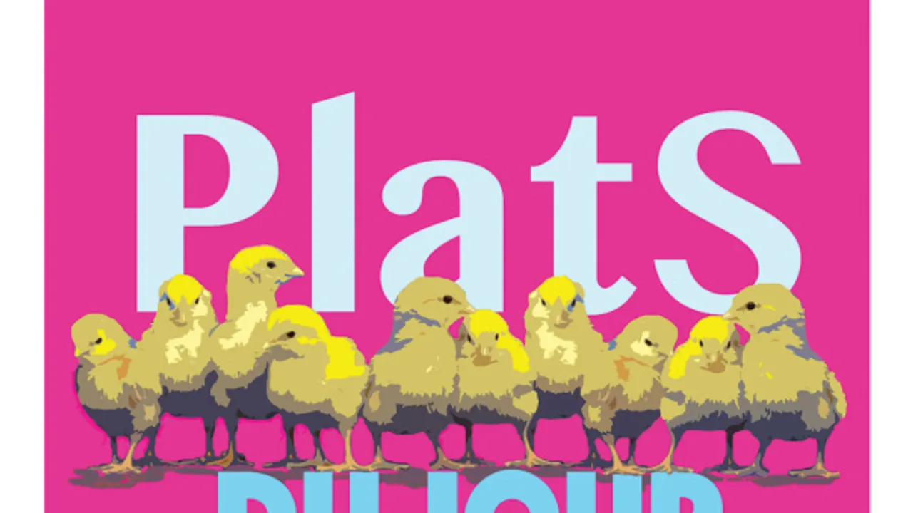 Plats du Jour