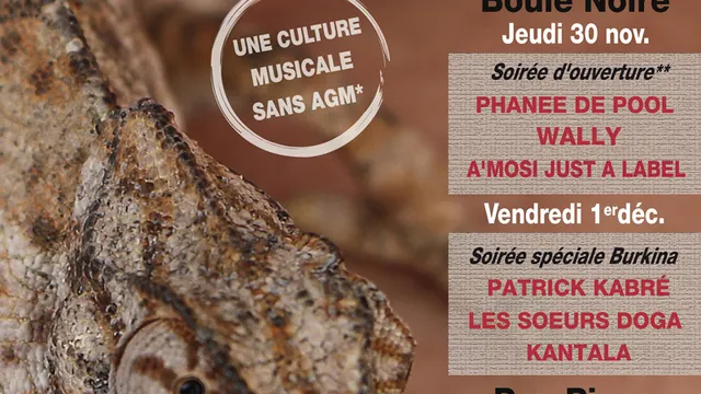 Only French Festival (Dakar by night)