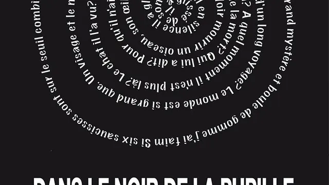 Dans le noir de la pupille