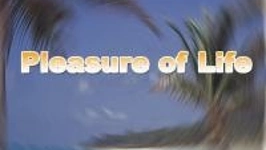 Pleasure Of Life