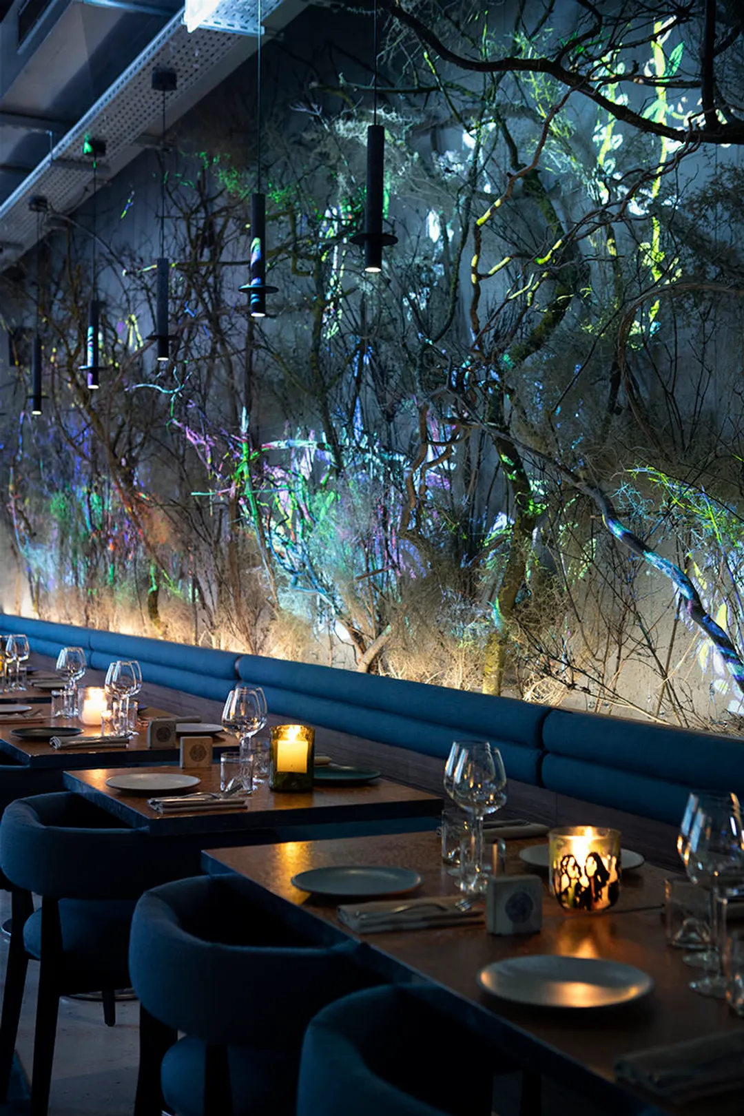 Forest Restaurant Paris