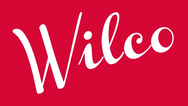 Wilco en concert