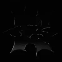 blottter