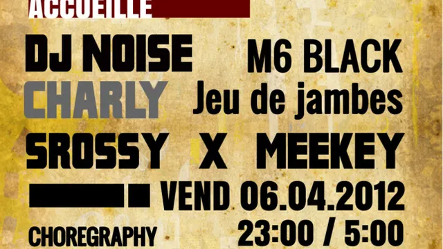 PARTY A LA MAISON DE LUXE AVEC DJ NOISE