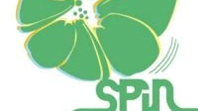 Spin