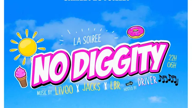 NO DIGGITY PARTY