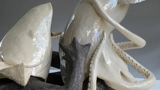 Elsa Guillaume, Tritonades & Coelacanthe