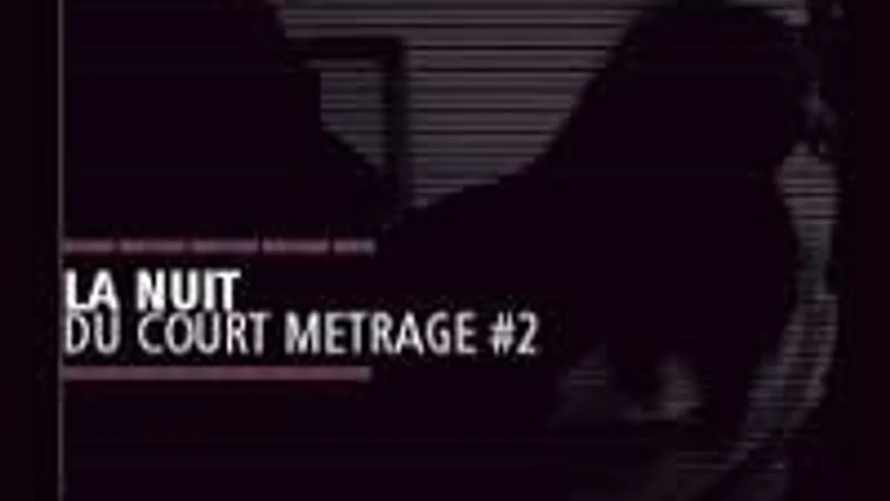 Nuit du court métrage #2