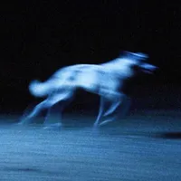 WOLFHOWL