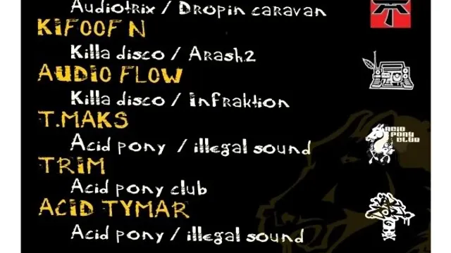 The Next Level : Acid Pony Club