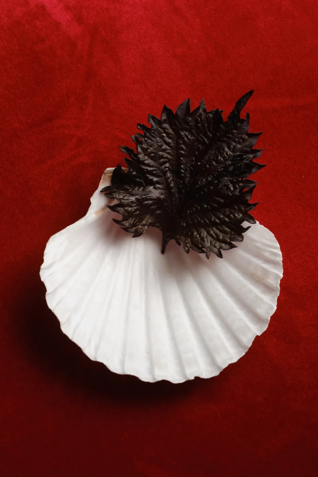 Kinugawa Rive Gauche Restaurant Paris
