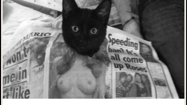 Le Minou au Chacha
