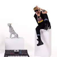 Jack Splash