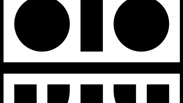 Schwarm Remixes release fiesta