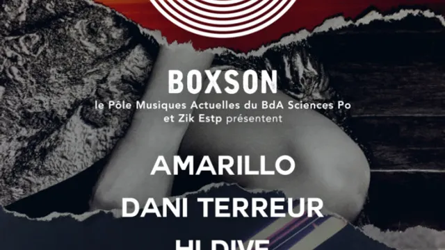 Boxson #1 // Amarillo • Dani Terreur • Hi Dive