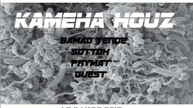 KAMEHA HOUZ